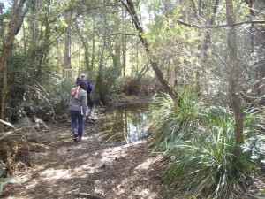 CVA Team assessing the Bridport Walking Trail, Bridport Tasmania