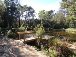 Discovery Deck at Settling Pond, Bridport Walking Track