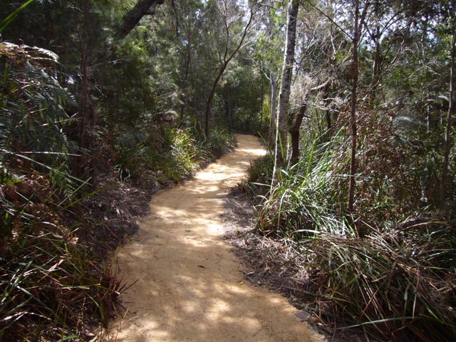 Completed track, Bridport Walking Track