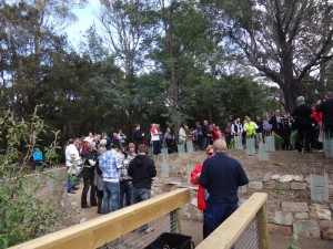 Opening River-Forest section, Bridport Walking Track